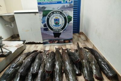 Imagem da notícia Homem é multado em R$ 5,6 mil por armazenar 134 kg de peixe ilegal em pousada perto de Sonora